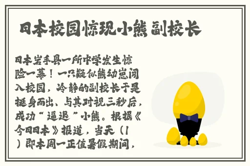 一线产品和二线产品的区别视频